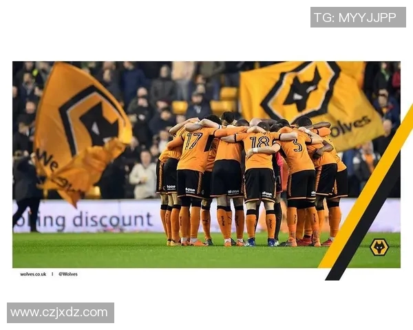 卡迪夫与狼队精彩对决全场回顾精彩瞬间不容错过 卡迪夫与狼队精彩对决全场回顾精彩瞬间不容错过